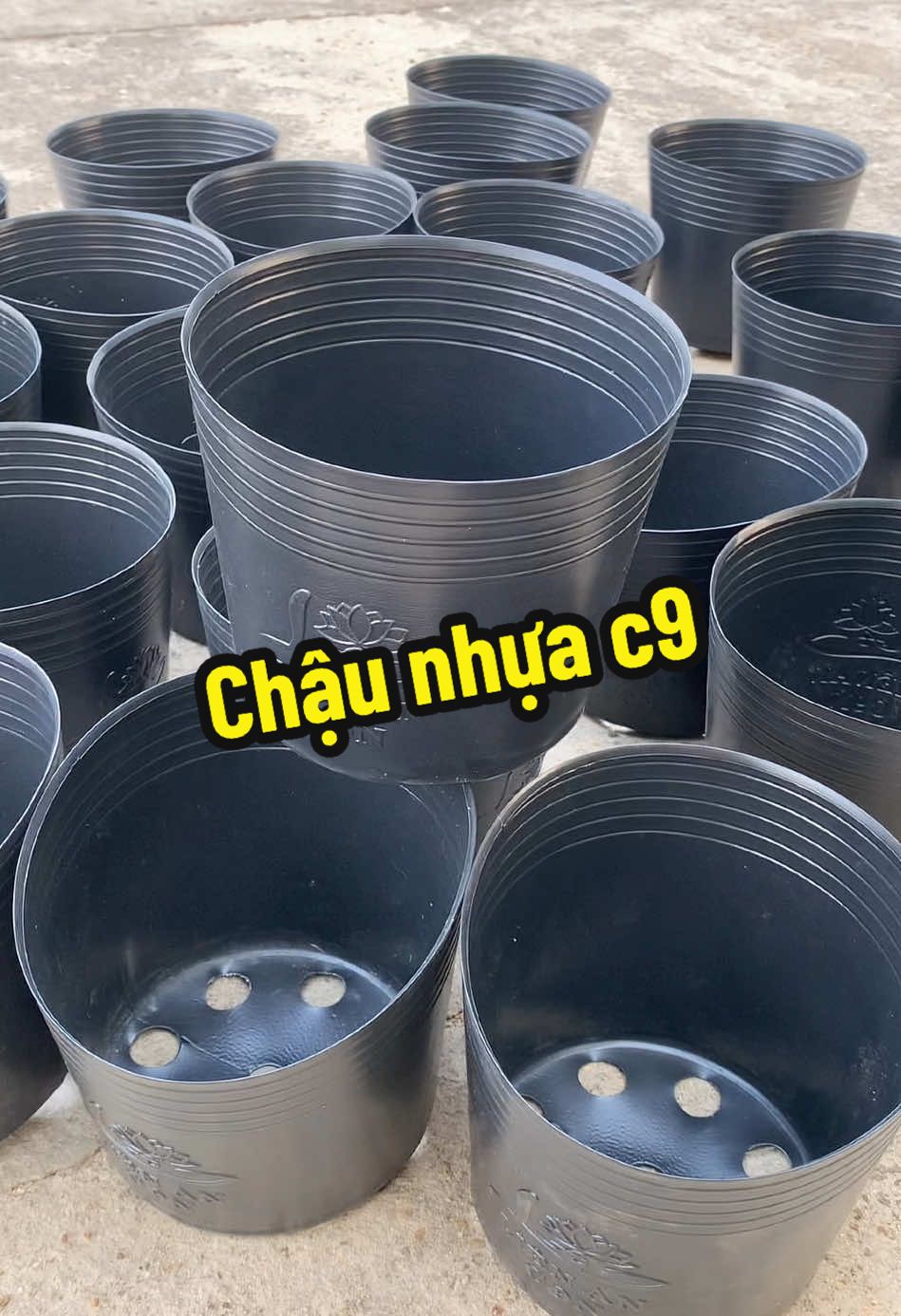 Chậu nhựa trồng cây c9 #megau1802 #chauc9 #chaunhuatrongcay #chaucay #chaunhualienan #xuhuongtiktok2025 