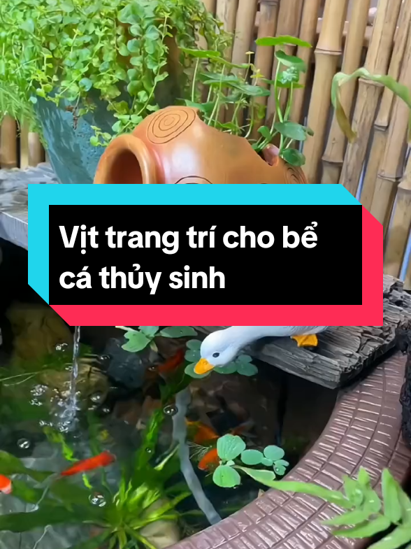 Vịt trang trí cho bể cá thủy sinh  #becathuysinhngoaitroi #becathuysinh #thuysinh #phukienthuysinh #xuhuongtiktok 