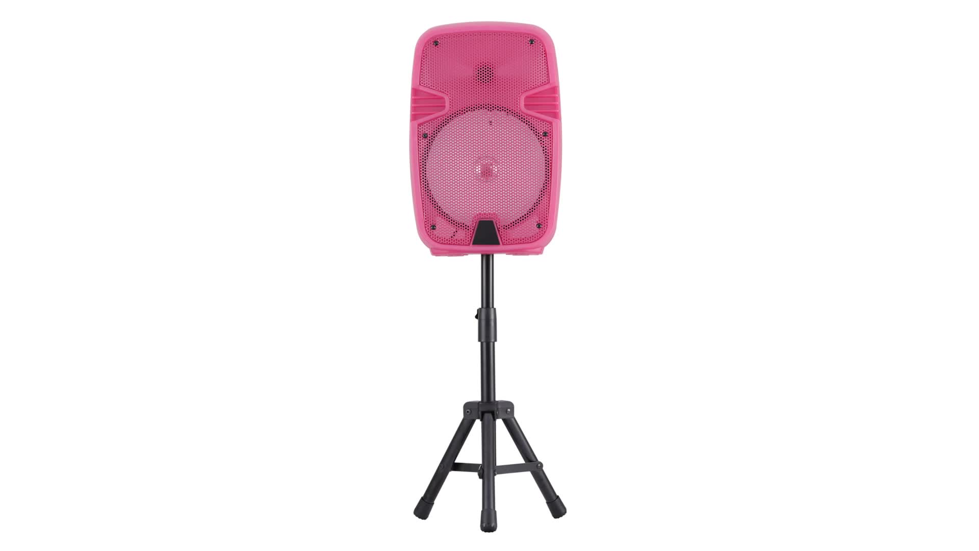 Portable Bluetooth PA Speaker With Stand 8