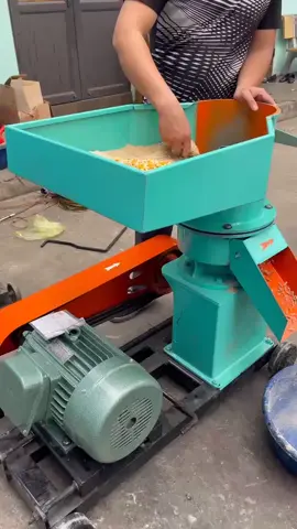 Khách thử máy Ép Cám Viên S250 3 Pha tại xưởng #binhquangroup #trangtrai #channuoi #mayepcamvienbinhquan #mayepcamvien #nongnghiep #Vlog 