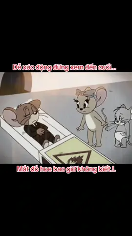 Cách xa đôi đường cũng được... chứ đừng...😓 như Tom và Jerry !!!#trending #xuhuong #tinhcam #tamtrangbuon #tomandjerry 
