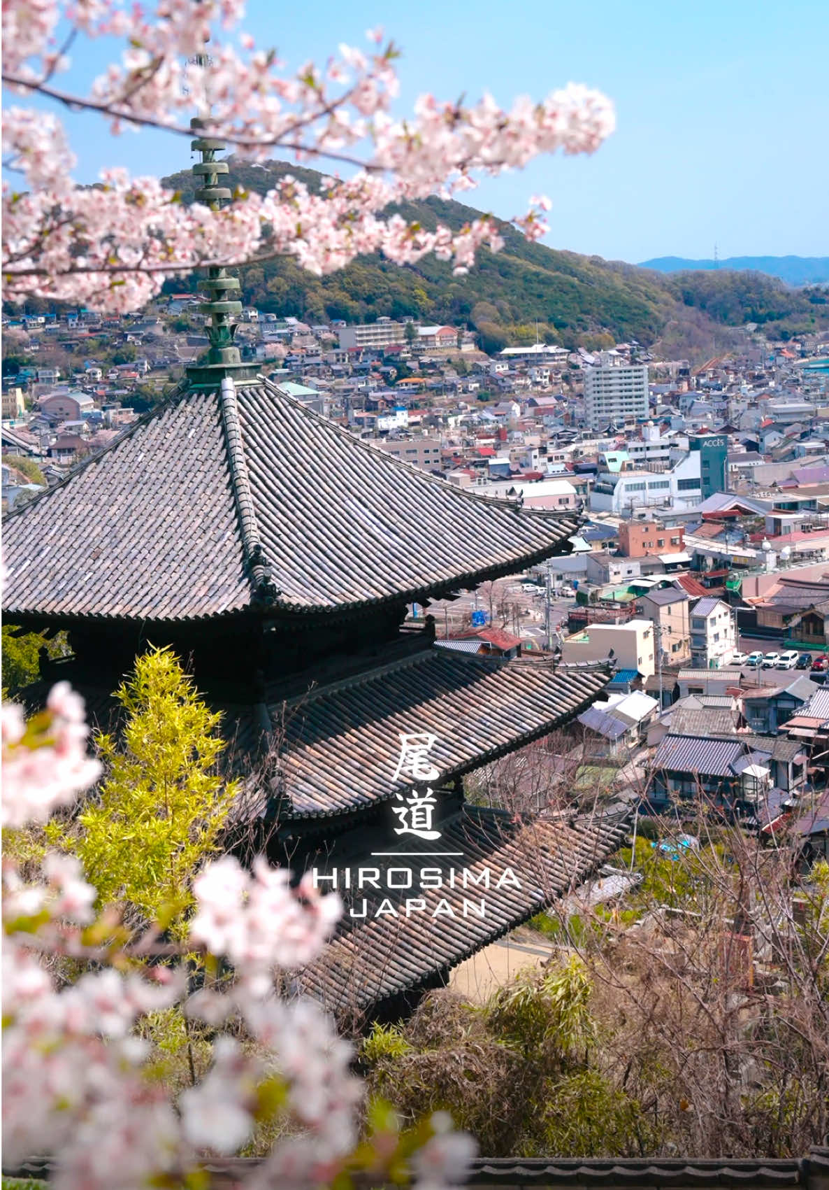 📍Hiroshima Japan 🇯🇵🌸　#TravelinJapan #Cherryblossoms #広島 #尾道 #onomichi 