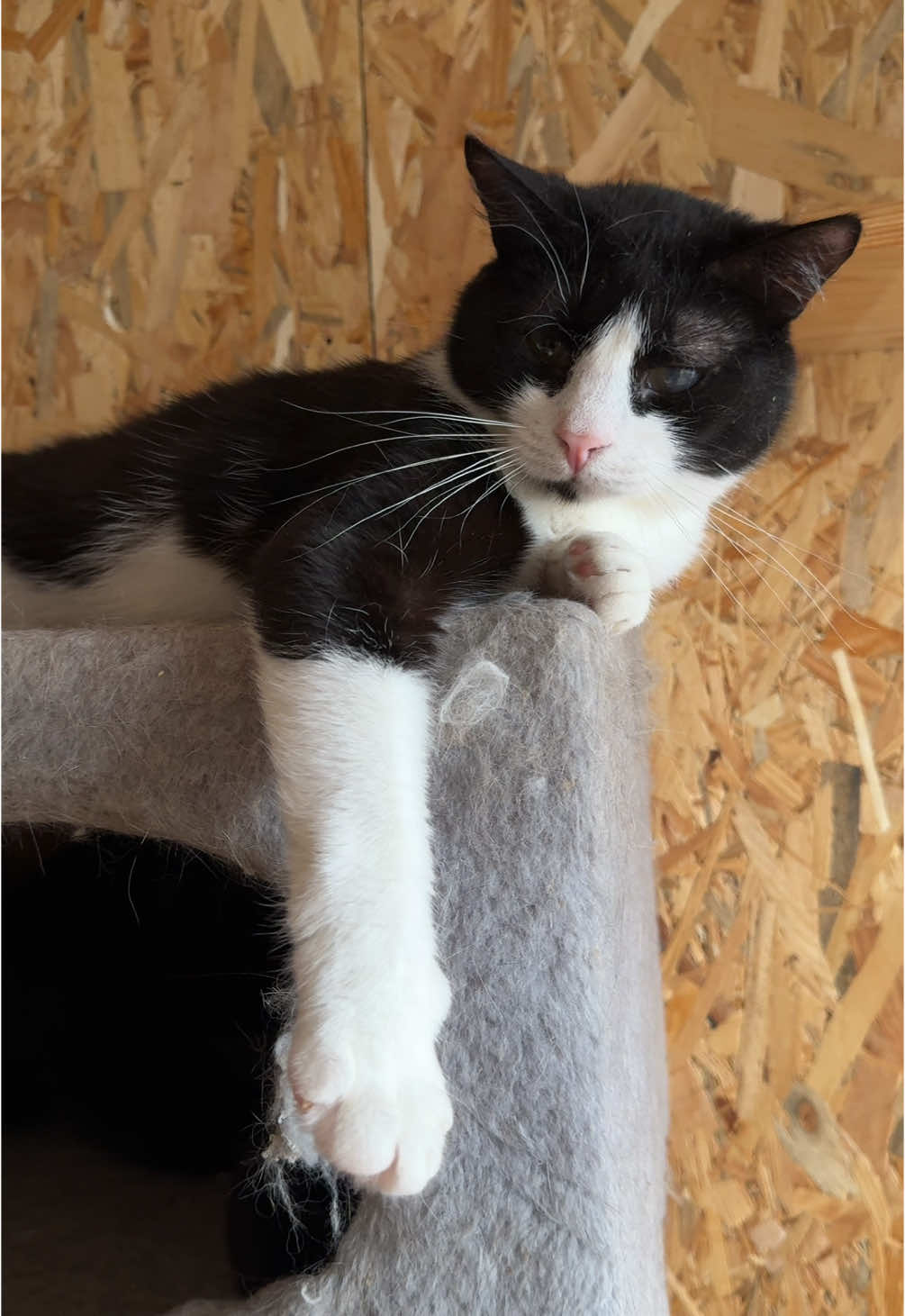 Дякуємо кожному! @Зоомаркет MasterZoo 