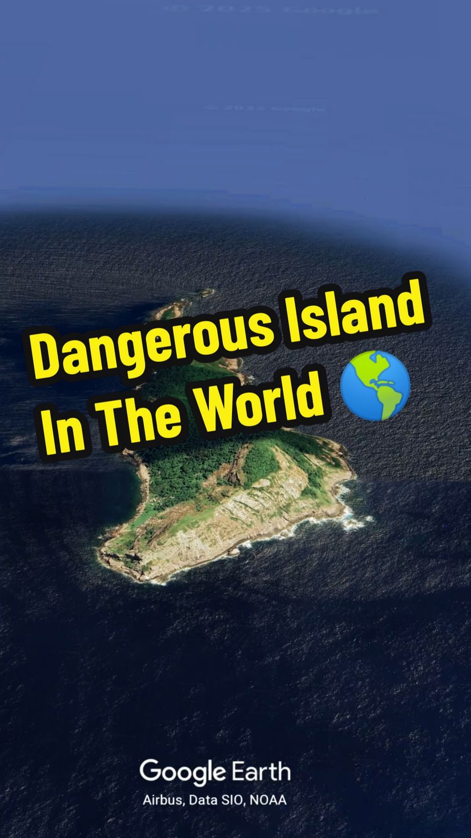 Most Dangerous Island In The World #island #snakeisland #brazil #dangerousisland 