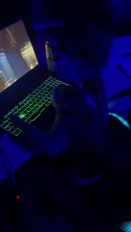 YASHA_SUYETOLOG