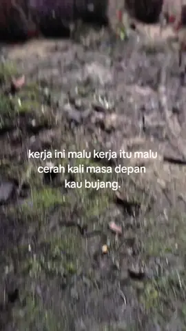 bujang bujang🤣.#sawitontiktok🌴🌴kalimantan #fypp #xybca 