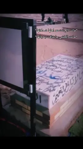 #النجف_الاشرف #المقبره_النموذجيه #خيتي #البدير_الديوانية #الديوانية_حبيبتي #لايك_اذا_حبيتو_الفيديو🖤 ##لايك__explore___ #لايك__explore___ #لايك__explore___ #لايك__explore___ 