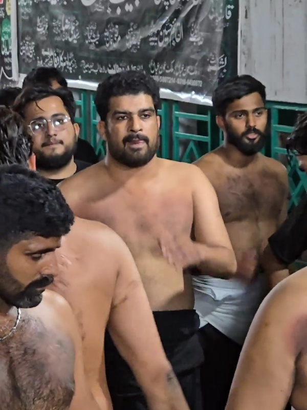 Zuljnah Tu Hi Dasa Noha #matam #johnshah #qariparty #karwaneshahchanchiragh 