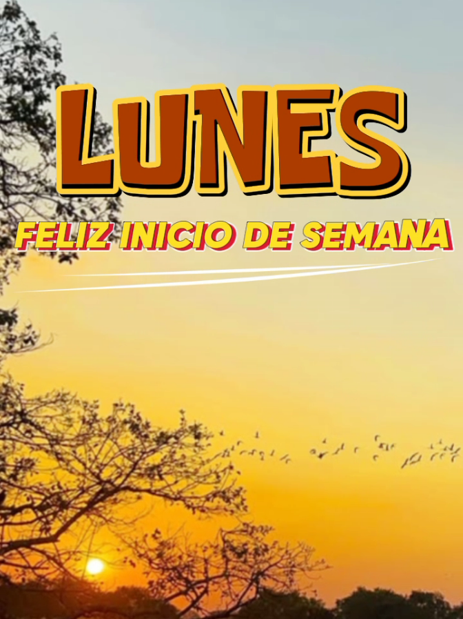Bonita semana para todos 🤗#buenosdias #iniciodesemana #felizsemana #lunes #flypシ  #CapCut #llanerasvenezolanas #llaneras #elguerrerodelfolklore  #llanovenezolano #🇻🇪 #diosesbueno #bendicionesparatodos #🙏 