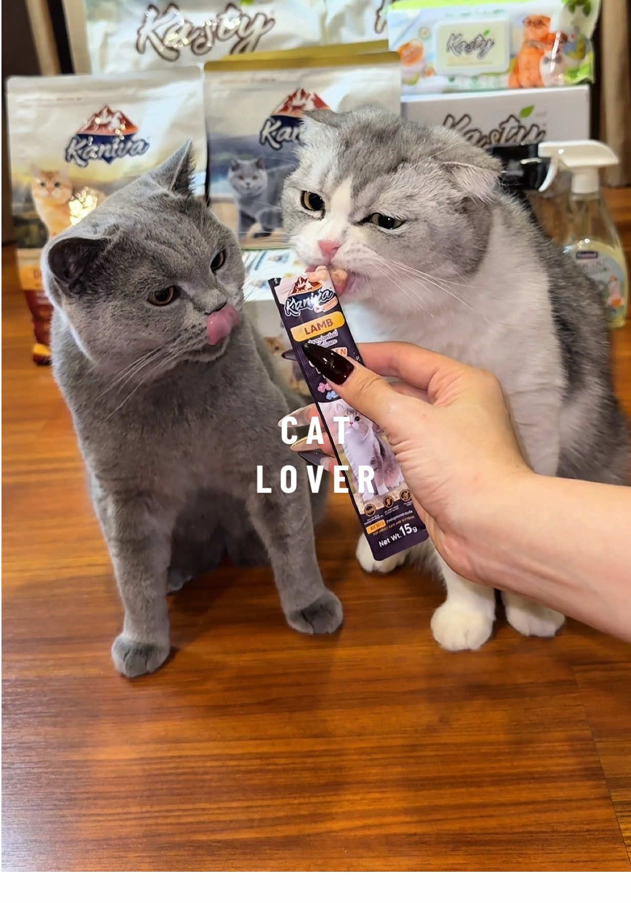 แมวสายลับ 🙃 #cat #catsoftiktok #ทาสแมว  #Mmynster #fyp #สมุนมิ้นเต้อ #kaniva