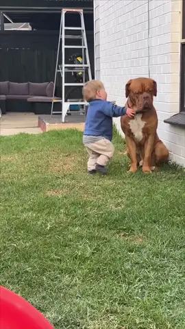 ❤️warm embrace 🫶🫶#tiktok #usa🇺🇸 #dog #baby #bestfriend #Love #kiss #embrace 