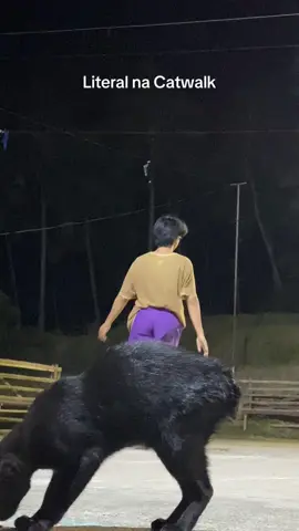 Mas ginalingan ni memeng!! #catwalk #foryoupage #pasarela 
