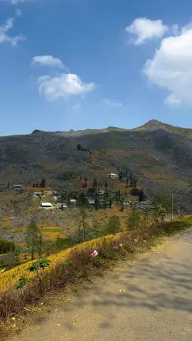 Đẹp như một bức tranh♥️🇻🇳  Tour Hà Giang hỗ trợ photo và flycam chi tiết nhắn tin riêng ạ🥰 #reviewhagiang #chupanhhagiang #datohagiang #khauvai #dulichhagiang #tourhagiang 