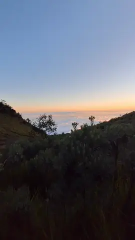 #merbabu #gunung #roadtrip 