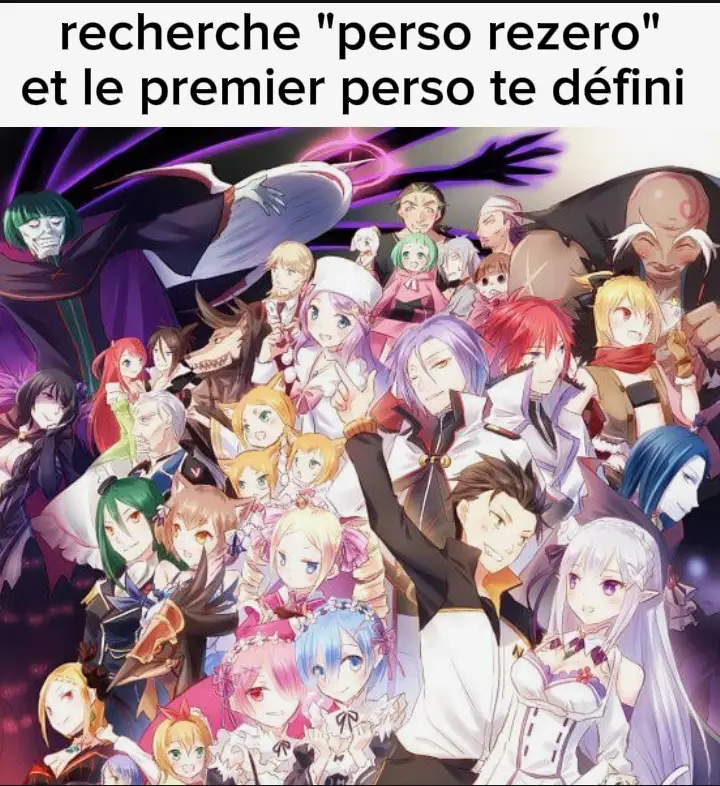 #rezero #subaru #rem #reinhardvanastrea #juluis #petelgeuseromaneeconti #fyp 
