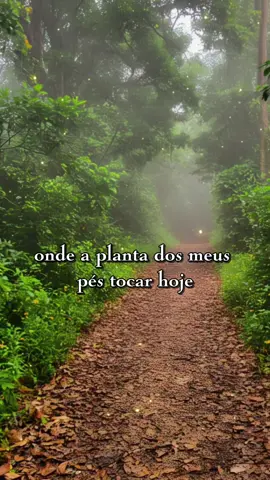 que Deus todo poderoso abençoe o seu dia