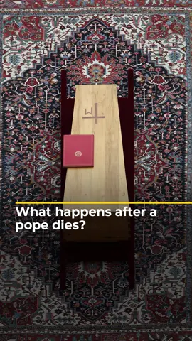 Following the death of Pope Francis, the Catholic Church will begin the long and highly secretive process of electing a new pope. This is what happens next. #news #Popefrancis #vatican #RomanCatholic