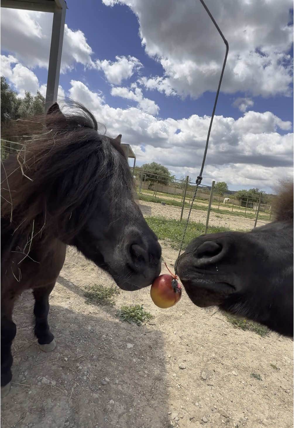 Neuerdings mag ich doch angeln!🎣😂🍎 #fischiii Videoidee von @Lena Wagner 