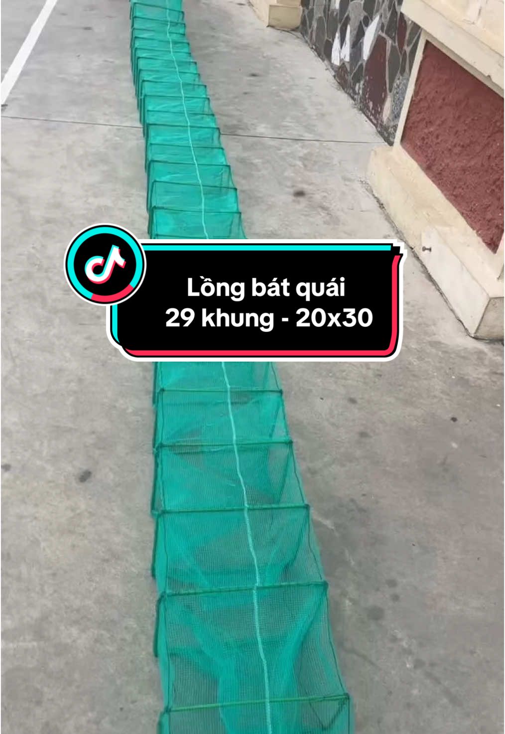 29khung sắt | kích thước 20x30cm | chuyên bẫy các loại tôm gua cá lươn trạch #xuongchuyenbancacloailuoi #lồngbátquái #lồng_bẫy_tôm #lồng_bát_quái #3li_xanh 
