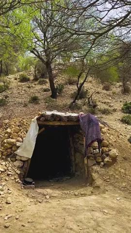 Gold Digger digging deep in jungle to find gold #goldmining #goldhunter #mining #cave #minecave #Minecraft #diamondmining #hiddentreasure #treasure #oldmining #USA #blackdiamond #gemstonemining 