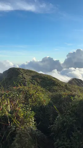 Mt. Guiting Guiting Summit.  @ra travel e tours   #creatorsearchinsights #mtguitingguiting #fyp #fyppppppppppppppppppppppp 