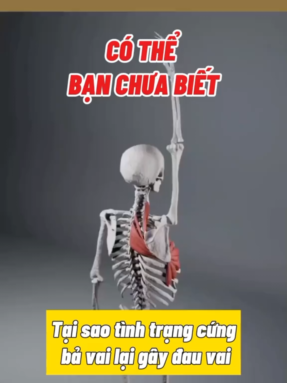 có thể bạn chưa biết, tình trạng cứng bả vai gây ra đau vai #tintam #trilieutintam #coxuongkhop #xuhuong 