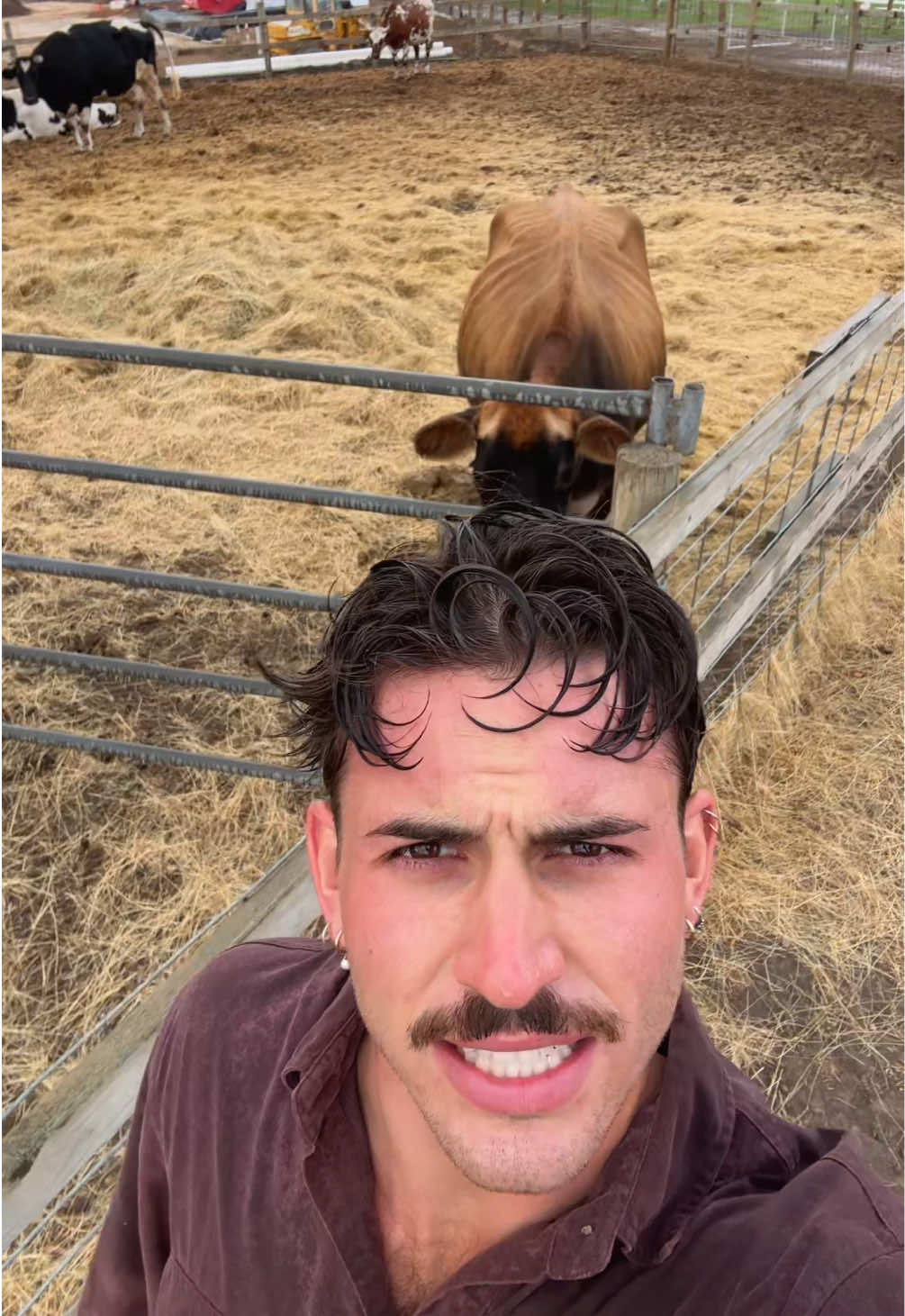 Homeeee sweet home #australia #hahndorffarmbarn #foryou #iloveyou #grasspuppies 