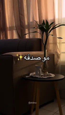 كلام عميق✨مو صدفه من حساب @Reem | الريم ⭐️  #cupcut #fyp #fypage #explore_اكسبلورر #mindset #selfreminder #thoughts #مشاهير_تيك_توك #reminder #podcast #podcastclips #podcasts #الخليج_العربي_اردن_عمان_مصر_تونس_المغرب #المغرب🇲🇦تونس🇹🇳الجزائر🇩🇿 