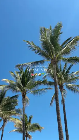 this is your sign to visit miami in 2025. • • • #miami #beach #aesthetic #floridacheck #miamivibes #southbeachlove 
