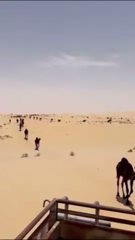 #اربع_الخالي#البل📍#الصيعر_ذياب_الصحراء #شرورة_الصيعر#رمله#مجه📵#ام_الملح#خجيم ##شرورة #الربع_الغالي #خجيمه #الربع_الخالي_الرمله_حمراء_نثيل_خجيمه #شروره##شروره_الصيعر #شروره# #تماني#تماني_الصيعر #خجيمه#البل#هجن#الرمله #الدكاكه📍 #حمرانثيل #الصيعر_ذياب_الصحراء_الربع_الخالي #الصيعر#الربع_الخالي 