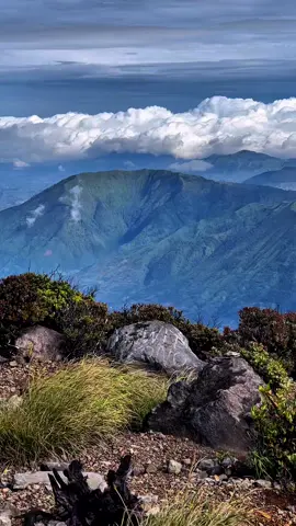 Alhamdulillah akhirnya wishlist tahun ini terwujudkan bisa menapakkan kaki Gunung Sindoro full cerah 🥰😍 Berarti aku sudah lulus S2 yaa, doakan tahun ini juga bisa S3 ☺️🤲🏻 📍Gunung Sindoro 3.153 mdpl, Wonosobo, Jawa tengah.  #pendakigunung #explorepage #wonosobo #temanhealing #gunungsindoro #sindoro #jawatengah #indonesia #trending 