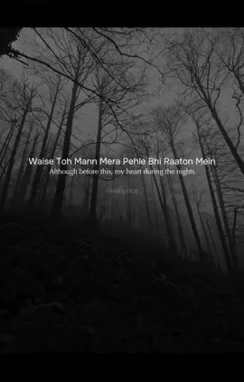 Tera Hone Laga Hoon 💓 #fyp #fypシ゚vira #atifaslam #lyrics #foryoupage #viralvideo #fypシ゚viral🖤tiktok #fypage #lyrics_songs #foryou #india #bollywood #bollywoodsong #fypシ゚viral #hindisong #indian #englishtranslation 
