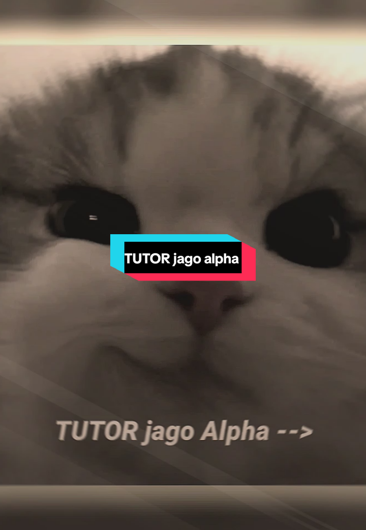 alpha 🥀 #fyp #trend #jj #jjalightmotion #alpha 