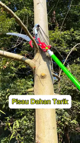 #CapCut #gergajidahan #pisautalimultifungsi #guntingdahantarik 