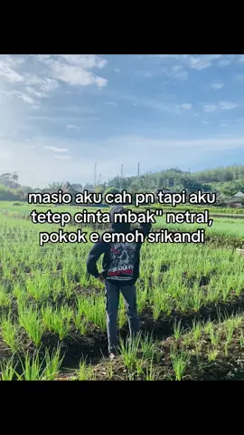 🥰😘🤗#fyp #pagarnusastory #baratbeatherallbase 