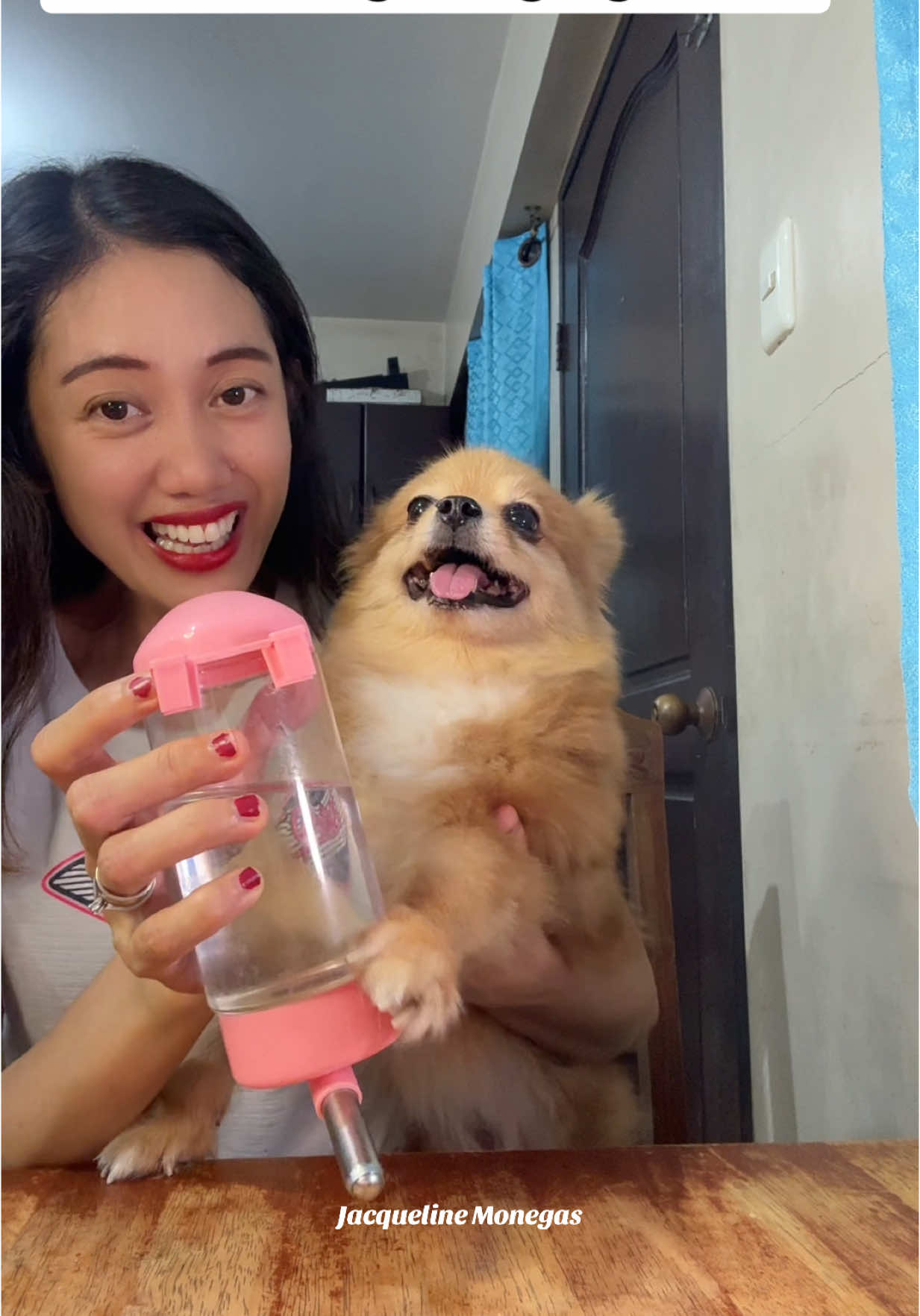 Pet Hanging Drinking bottle #petdrinkingbottle #drinkingbottlefordogs #dogsdrinkingwater #petdrinkingbottle #dogs #dogsvideo #dogslife #mansbestfriend #pomeranian #cutedog 