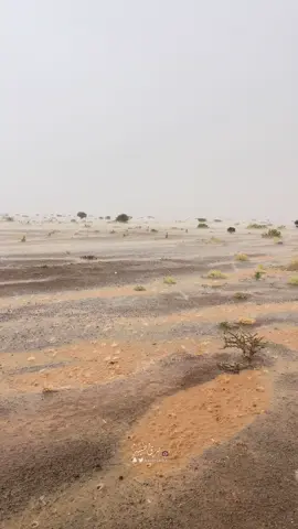 #تصويري امطار جنوب شرق المدينة المنورة ٢١ أبريل ٢٠٢٥