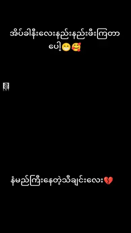 အရမ်းချစ်တော့နာကျင်ရတာပေါ့🥺😔#ဒီချိန်တင်ရင်viwerမတတ်မှန်းသိတယ်🙂 #tiktokmyanmar🇲🇲 #tiktokmyanmar #vietnamsong 