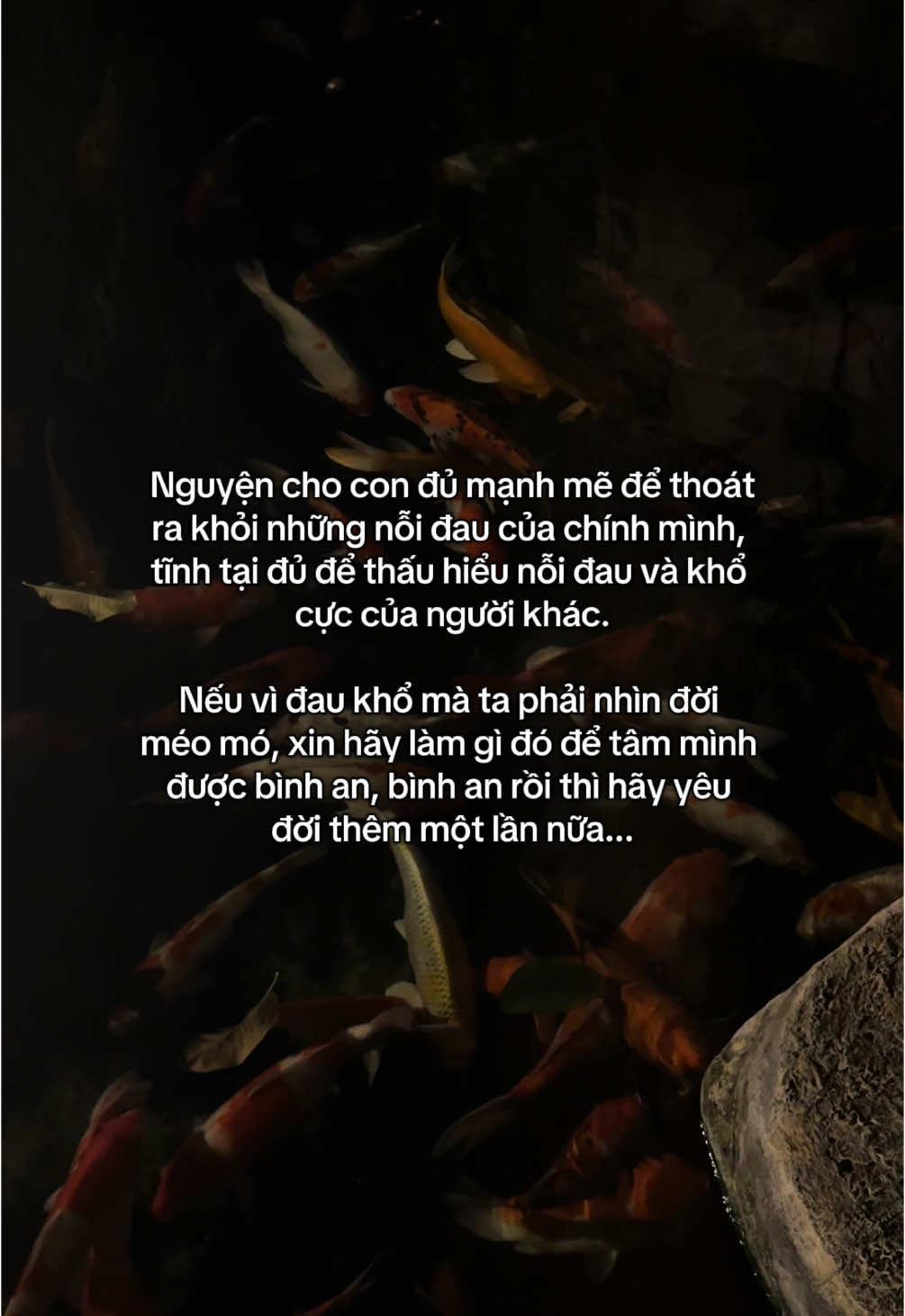 A Di Đà Phật 🙏🏻 #phatdaovothuong #phapphucdichua #xh #phatphapnhiemmau #ngoclan #phatphap #viral #nhannhan #ducthanhnghia #lieuphamtuhuan 