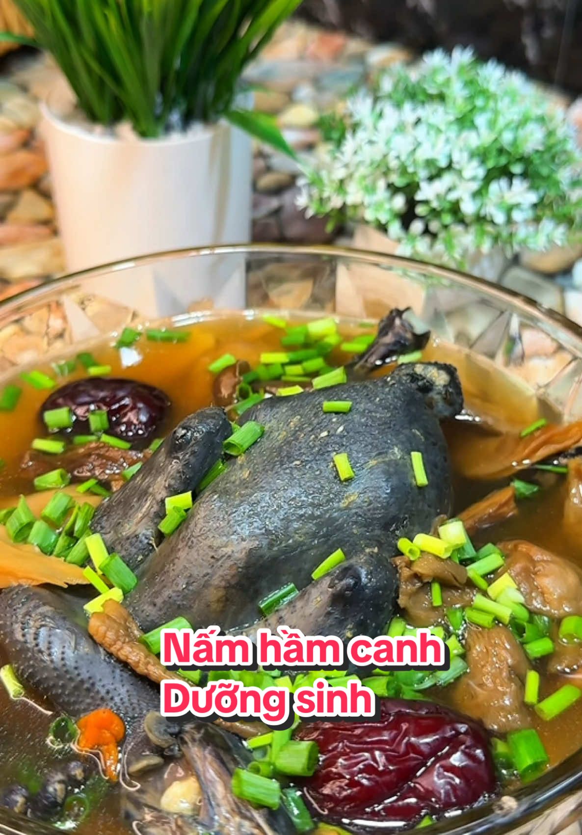 Món canh hỗ trợ sức khoẻ.#cơmnhathoa91 #trending #cooking #xuhuongtiktok #viraltiktok #viral #LearnOnTikTok #xuhuong #canhnamhamduongsinh 