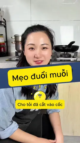 🦟 MUỖI BIẾN MẤT CHỈ TRONG VÀI PHÚT – MẸO ĐUỔI MUỖI TỰ NHIÊN KHÔNG CẦN THUỐC! 🌿 #MẹoĐuổiMuỗi #KhôngCầnHóaChất #HackCuộcSống #MẹoVặtGiaĐình #BíKípTiệnÍch #KhôngGianKhôngMuỗi #ĐờiSốngThôngMinh #pytago 