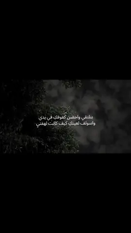 بنلتقي واحضن كفوفكِ في يدي واسولف لعينكِ كيف كانت لهفتيِ  #fypシ #fyp #كلام_من_ذهب #حب #احبك 