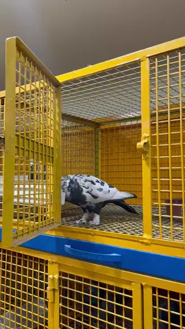 #onthisday #foryou #fyp #foryoupage 