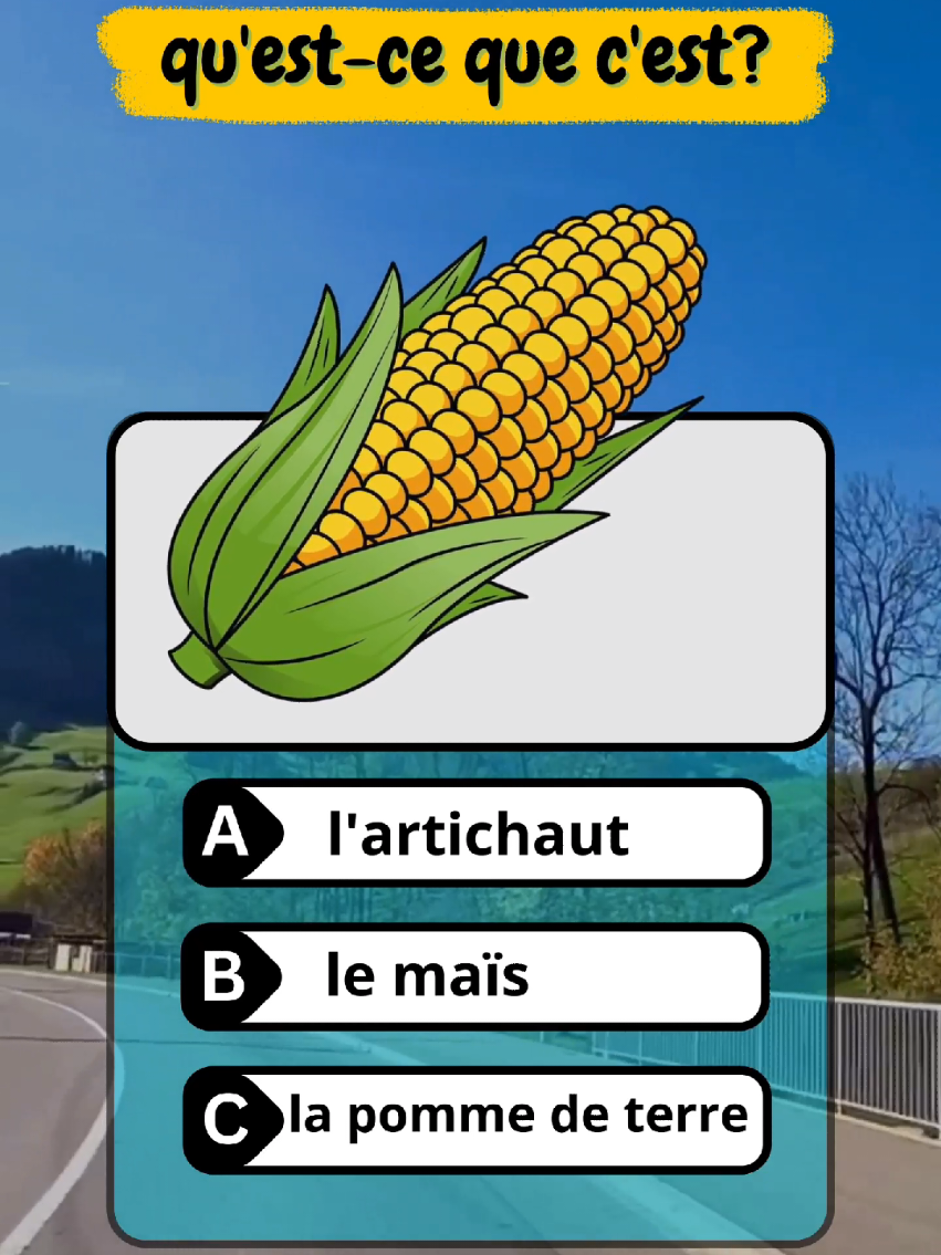 Apprendre Le Français!! #apprendre #quiz #apprendrelefrançais #languefrançaise #languefrançaise #apprendresurtiktok #france 