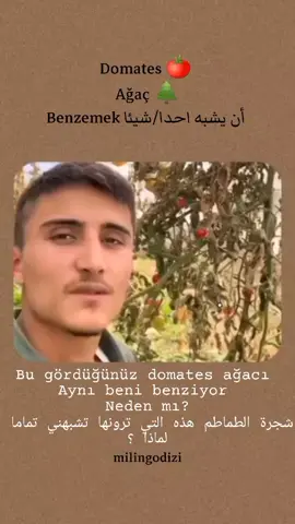 كورس دروس خصوصية لتعلم اللغة التركية معي أونلاين 🇹🇷 📌كورسات للمستوى الأول الثاني والثالث  📌كورس شامل القواعد والمصطلحات  📌 كورس محادثة وتفاعل مع الكتابة  تواصلوا معي على الخاص لمعرفة المزيد 🥰 رابط قناتي باليوتيوب موجود بالبايو 🔥 . اعملوا حفظ ونشر للفيديو إذا أعجبكم 💗 . . . #learnturkish #türkçe #kesfet #تعلم_التركية #تعلم_اللغة_التركية