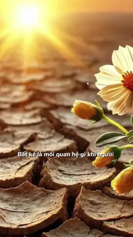 Hãy lặng lẽ thu hồi sự nhiệt tình khi cảm thấy người kia không cần nó 😥😥😥 #CapCut  #tâmtrạng 
