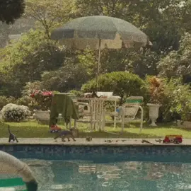 Não me acho melhor, não, só não me acho pior. Entendesse? #quehoraselavolta #reginacase #filmesbrasileiros #cinemanacional #fyph #viraledit #novelasglobo #filme #novelas #edits 