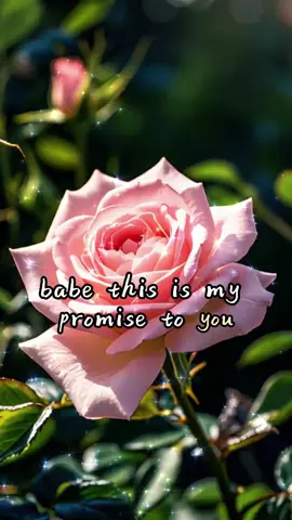 #Love#lovequotes #fypシ 