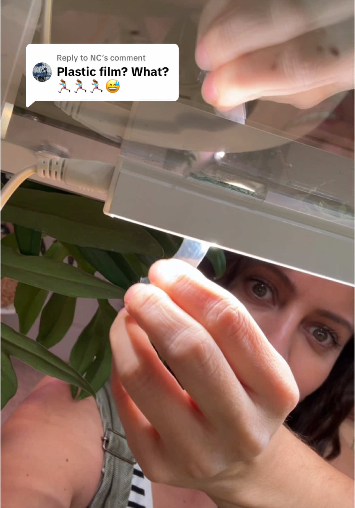 Replying to @NC If you have any of the Barrina grow lights, don’t forget to check this one thing! #growlights 
