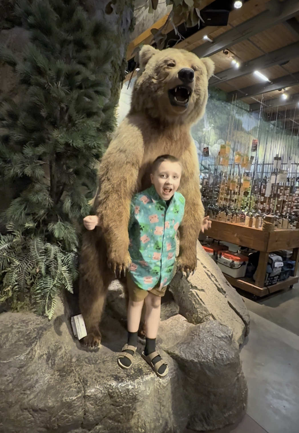 Bear attackkkkk 🐻 